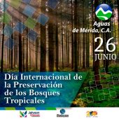 26 de junio. Día Internacional de la Preservación de los Bosques Tropicales